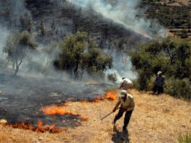 Antalya'da bir hektarlık alan kül oldu