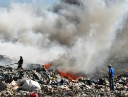 Bolu’da Kağıt Fabrikası Yanmaktan Son Anda Kurtarıldı