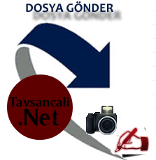 dosya_gonderr